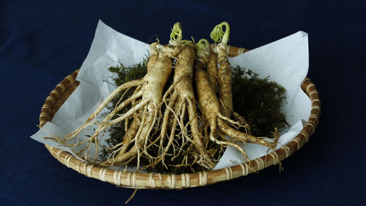 Raíz de ginseng para potenciar