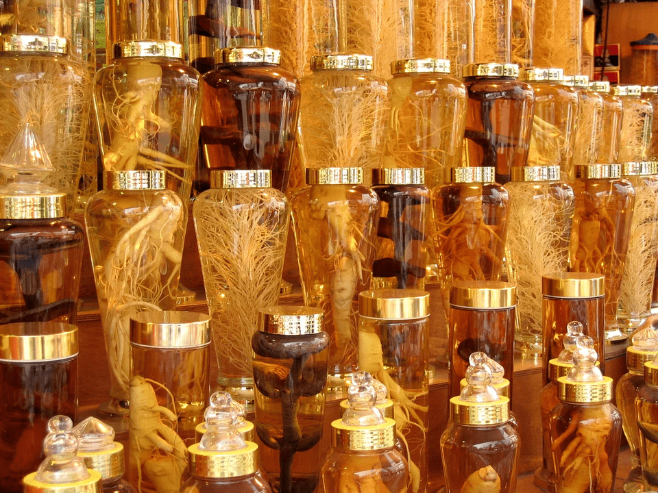 Raíz de ginseng para aumentar a potencia